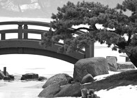Bridge in Winter (B&W)