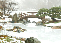 Winter Serenity - Osaka Gardens