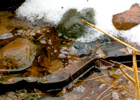 River Rocks in Snow (3)